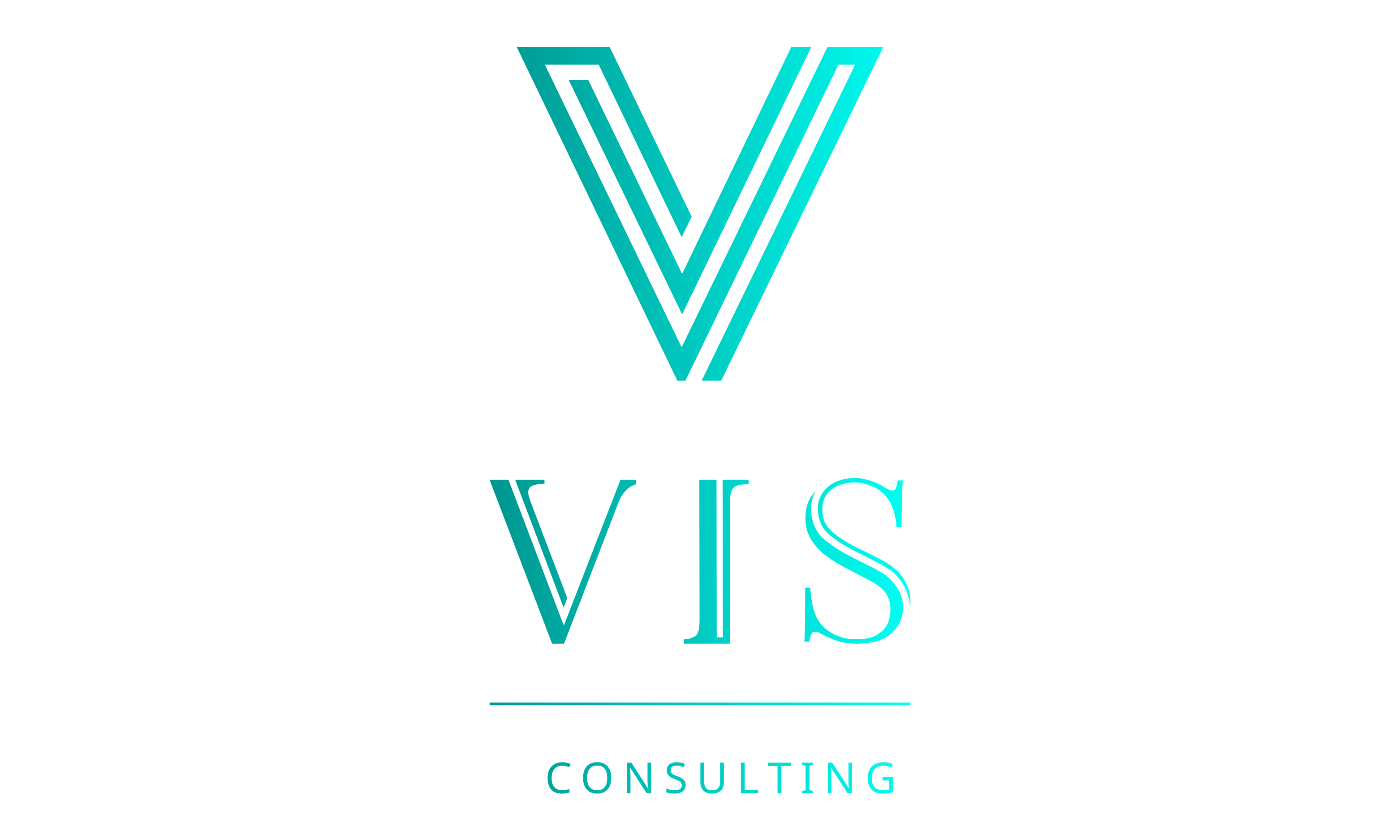 VIS Consulting 
Human Recources
Recruting
Personal Marketing
Digital Marketing